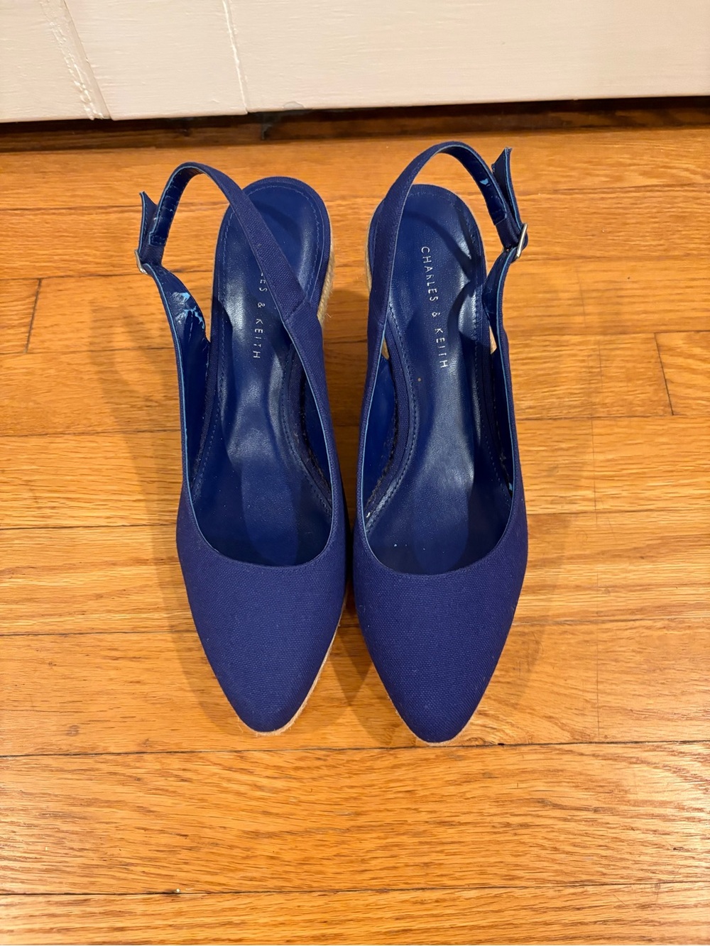 Charles & Keith Cobalt Blue Slingback Pointed Pumps